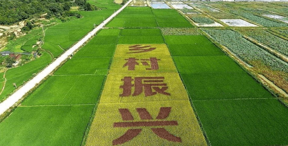 人民日報“鄉(xiāng)村振興計劃”為何看上他？_直播_行業(yè)_農(nóng)產(chǎn)品